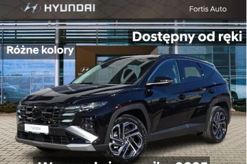 Platinum! Hybryda! Dostępny od ręki !!!