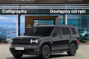 Hybryda Plug-in 253KM! Calligraphy ! Dostępny od ręki!